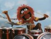 120x80-muppet_animal.jpg