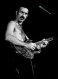 120x80-zappa.jpg