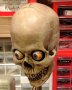 140x90-amazon-alexa-skull-project-yorick-mike-mcgurrin-1.jpg