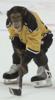 200x200-monkeyhockey.jpg