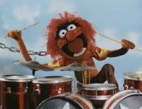 200x200-muppet_animal.jpg