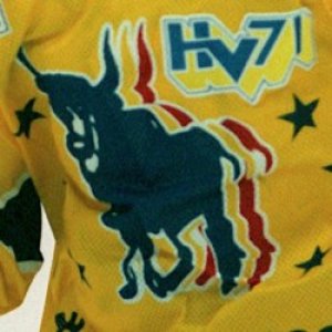 450x300-hv71-blue-bulls.jpg