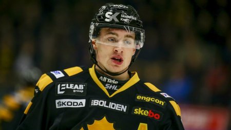 450x350-adampettersson.jpg