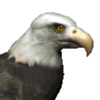 450x350-eagle2.gif