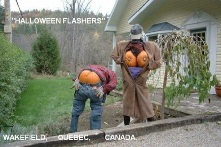 450x350-halloween_flash_with_text_11.jpg