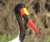 50x50-brynasstork.png